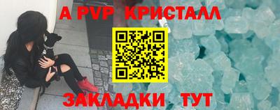 крисы Будённовск