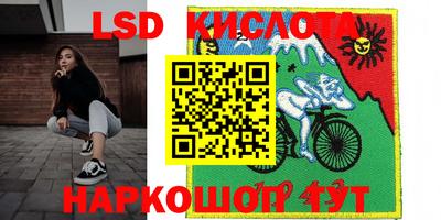 крисы Будённовск