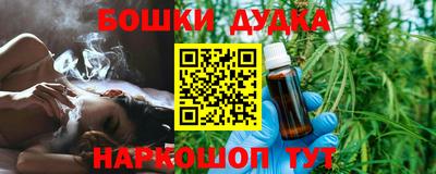крисы Будённовск